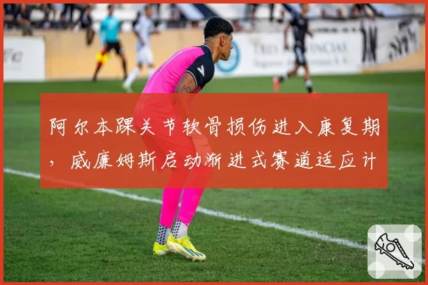 阿尔本踝关节软骨损伤进入康复期,威廉姆斯启动渐进式赛道适应计划