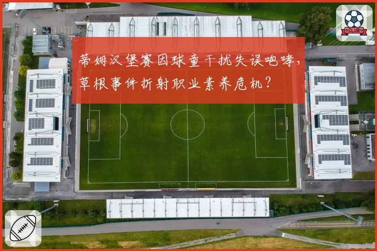 蒂姆汉堡赛因球童干扰失误咆哮,草根事件折射职业素养危机?