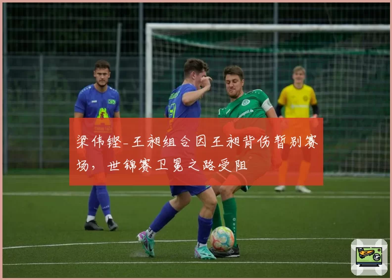 梁伟铿_王昶组合因王昶背伤暂别赛场,世锦赛卫冕之路受阻