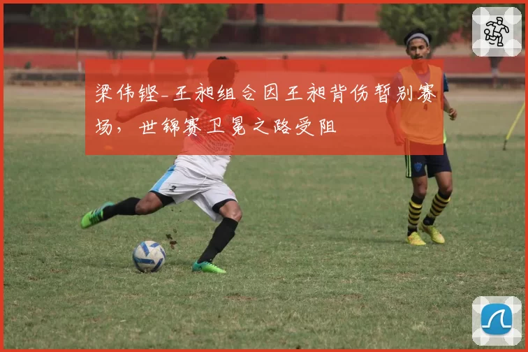 梁伟铿_王昶组合因王昶背伤暂别赛场,世锦赛卫冕之路受阻