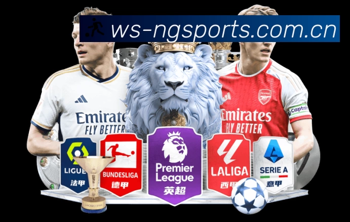 体育平台欢迎图